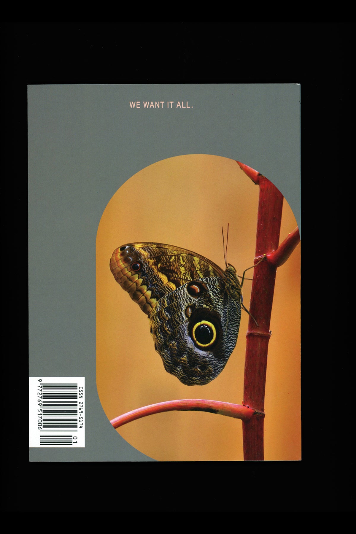 Issue 3
